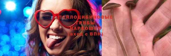 ПСИЛОЦИБИНОВЫЕ ГРИБЫ Армянск
