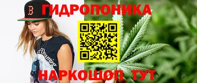 ГАЛЛЮЦИНОГЕННЫЕ ГРИБЫ Дубна