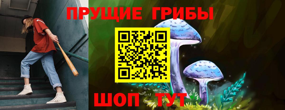 Псилоцибиновые грибы прущие грибы  наркотики  Всеволожск  Вход с VPN 