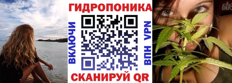 где можно купить   Всеволожск  darknet состав  Канабис OG Kush 